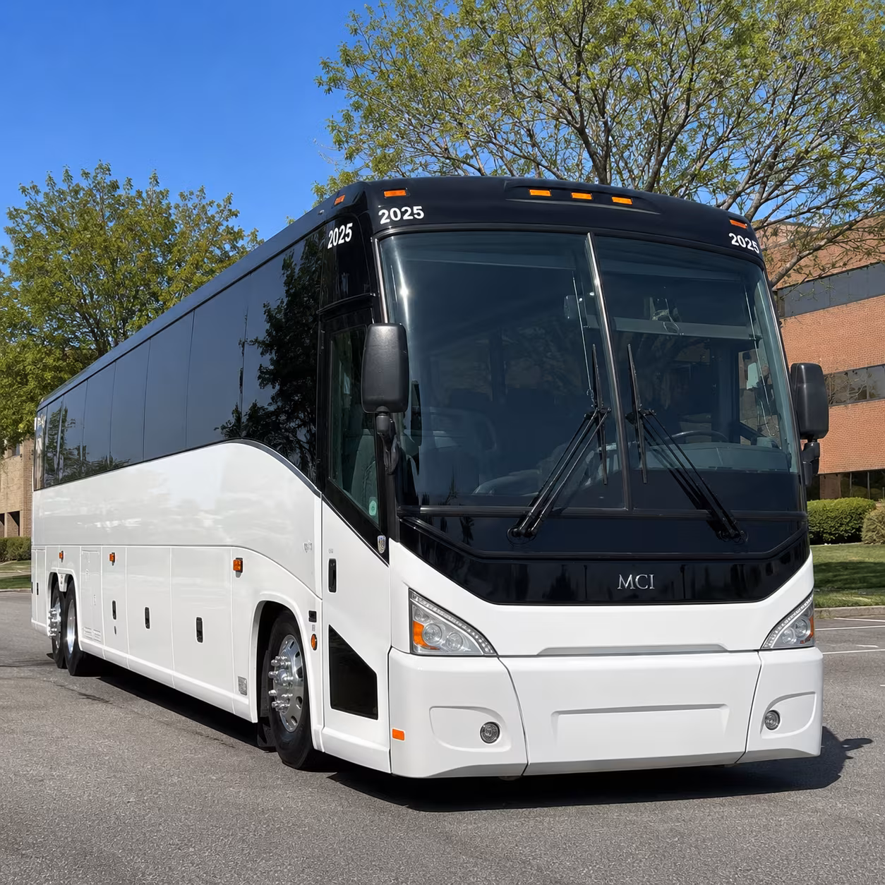 prom party buses and graduation shuttles across leon county